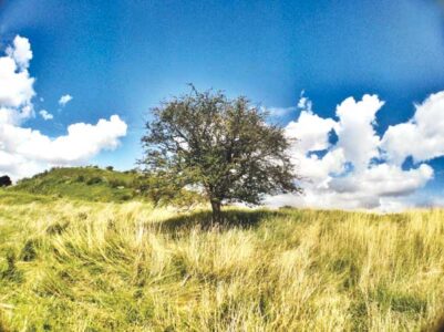 Common Property: Our Hidden Wealth Image